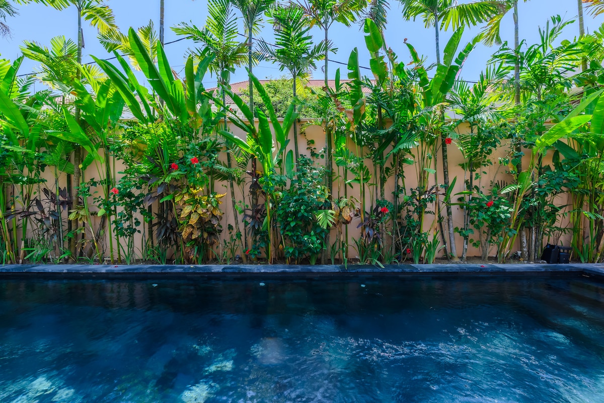 Villa Black Pool